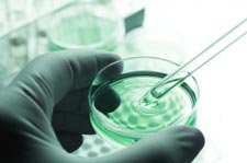 Vacuna contra la Helicobacter pylori